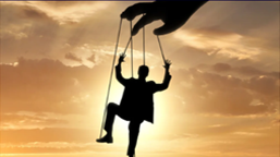 Customizing SAP Business One: Tips for Tailoring the System to Your Needs