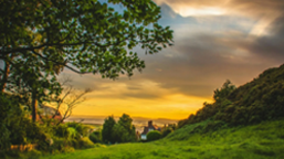 The Benefits of SAP Cloud Solutions in India for Modern Enterprises