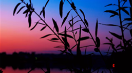 The Impact of SAP for Utilities: Enhancing Operational Efficiency